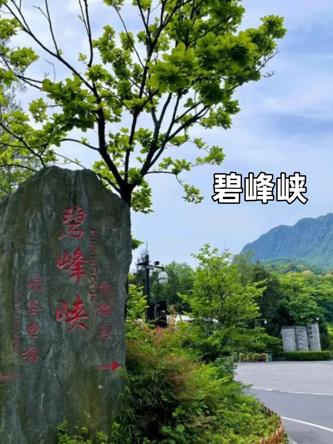 去那旅游好玩(去那里旅游好)