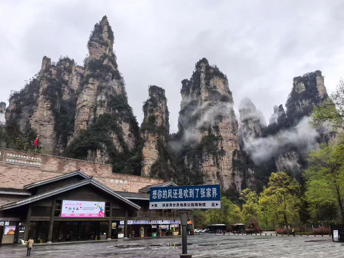 张家界当地导游推荐.推荐一下张家界比较好的口碑好的导游?-第3张图片