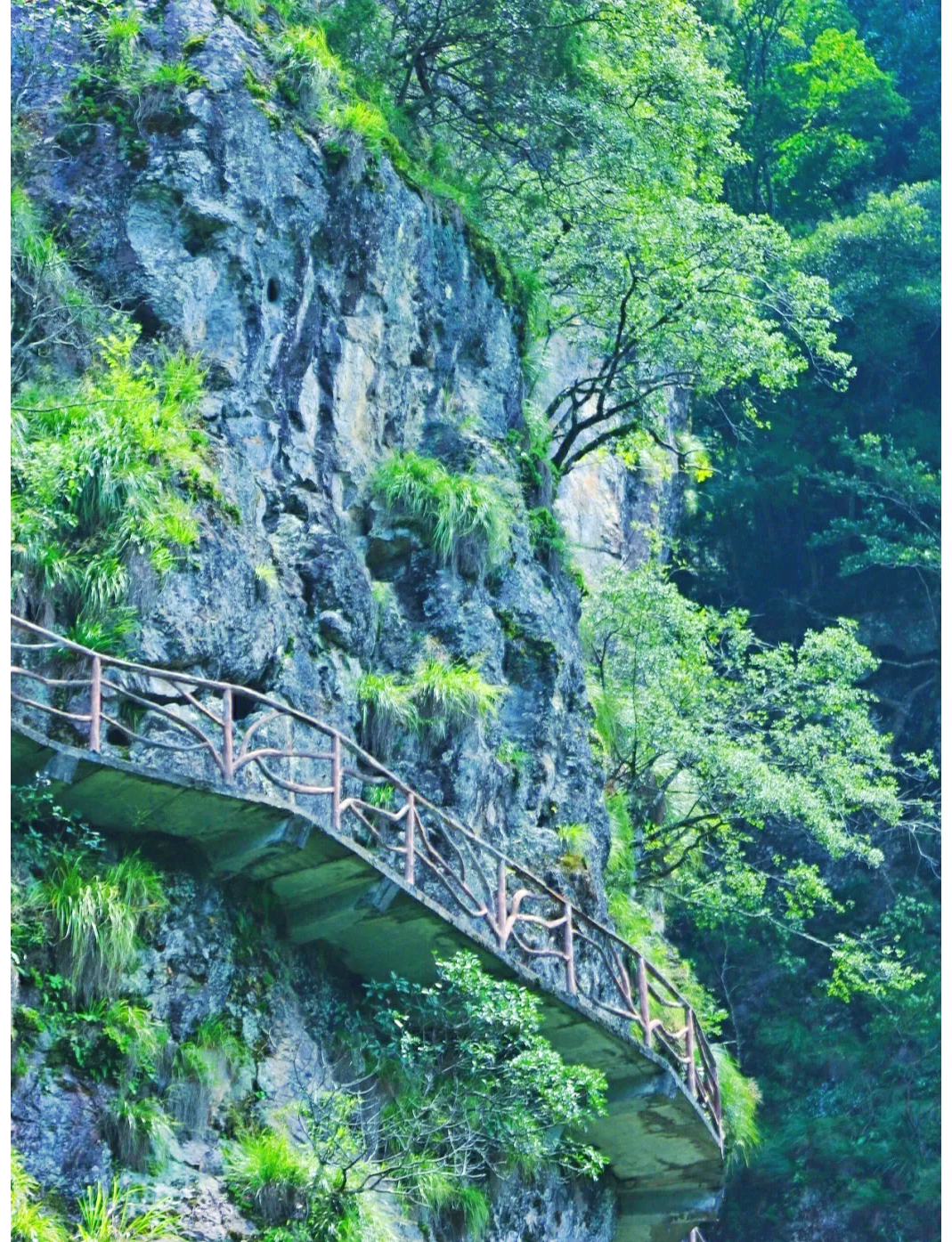 【福建白水洋风景区游玩攻略,福建白水洋风景区旅游】-第3张图片