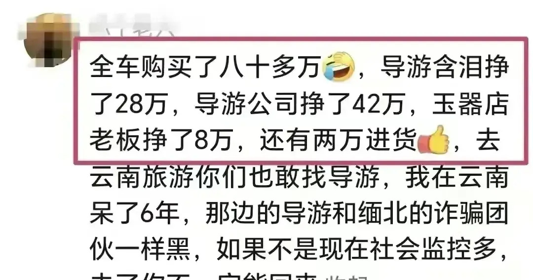云南旅游导游.云南旅游导游强制消费和导游出现矛盾怎么处理?-第1张图片