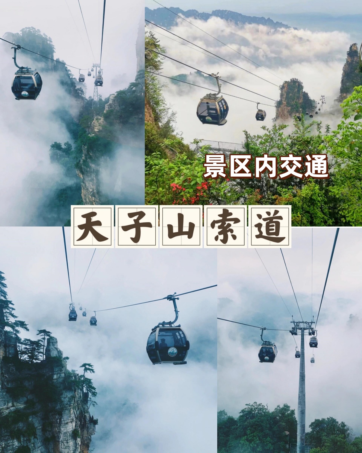 张家界旅游门票(张家界旅游门票多少钱一张啊)-第1张图片