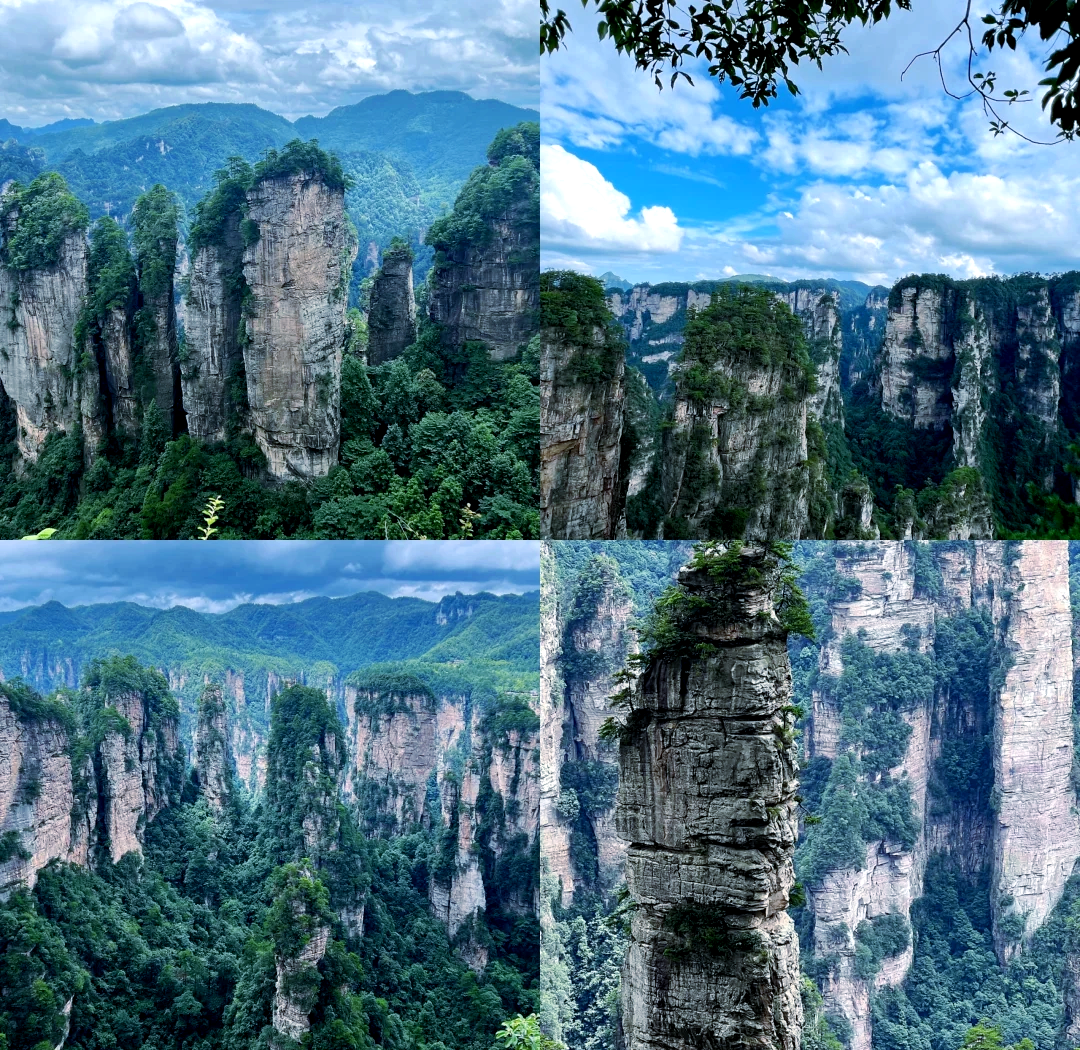张家界旅游门票(张家界旅游门票多少钱一张啊)-第3张图片