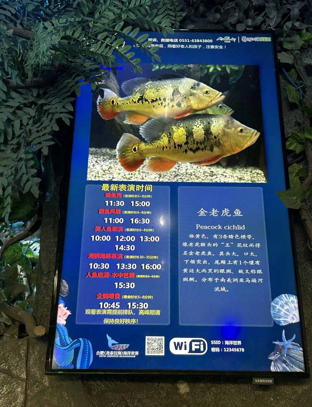 欢乐谷水上乐园门票价格/欢乐谷水上乐园开放日期-第1张图片