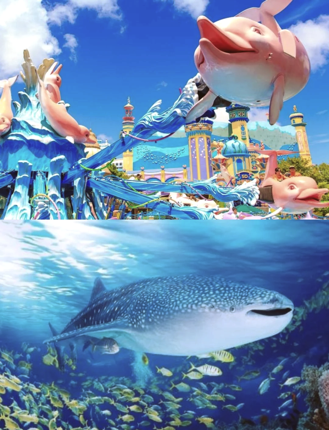 【亚龙湾海底世界,亚龙湾海底世界门票价格】-第1张图片