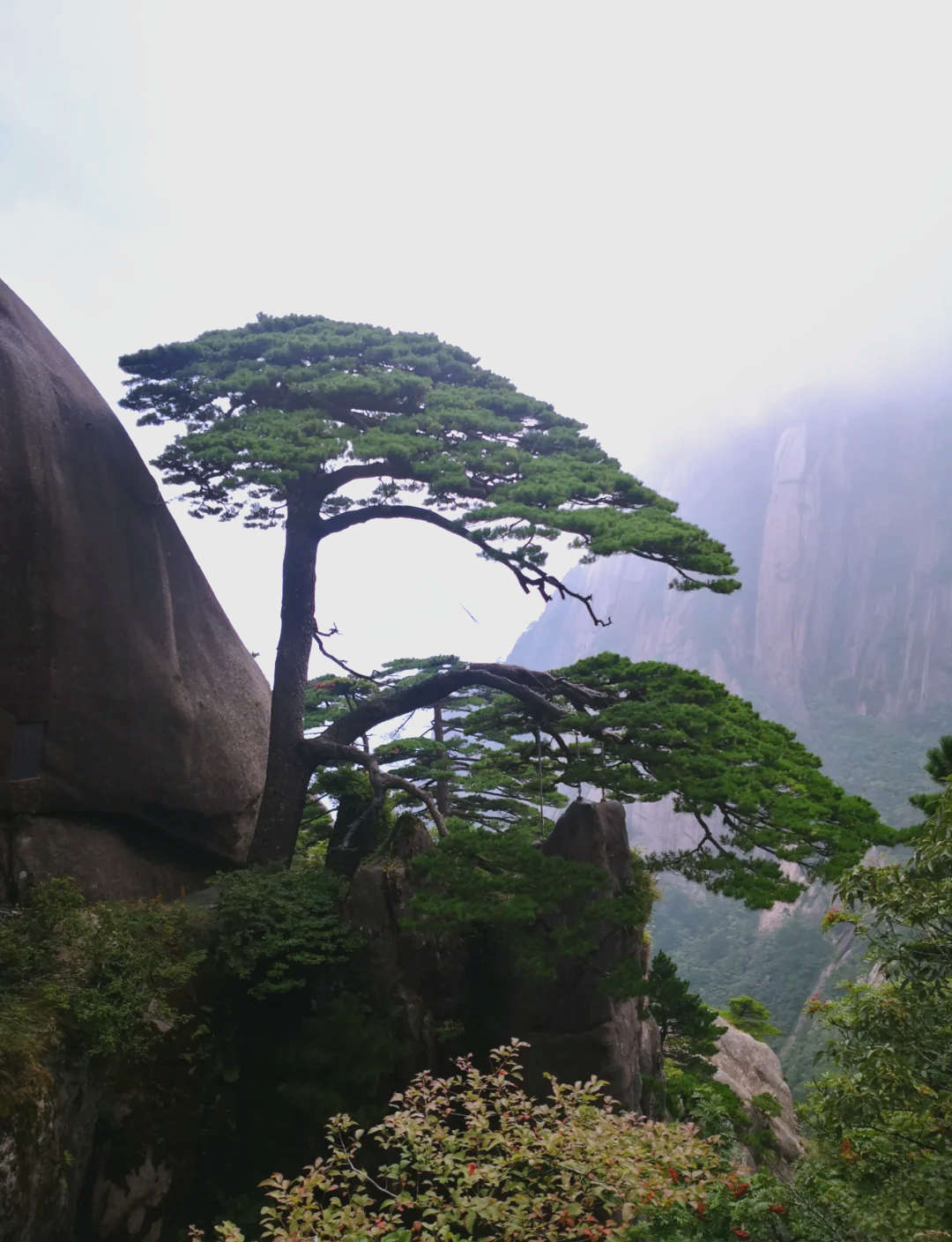 【黄山风景区十大景点,黄山风景区十大景点有哪些】-第1张图片