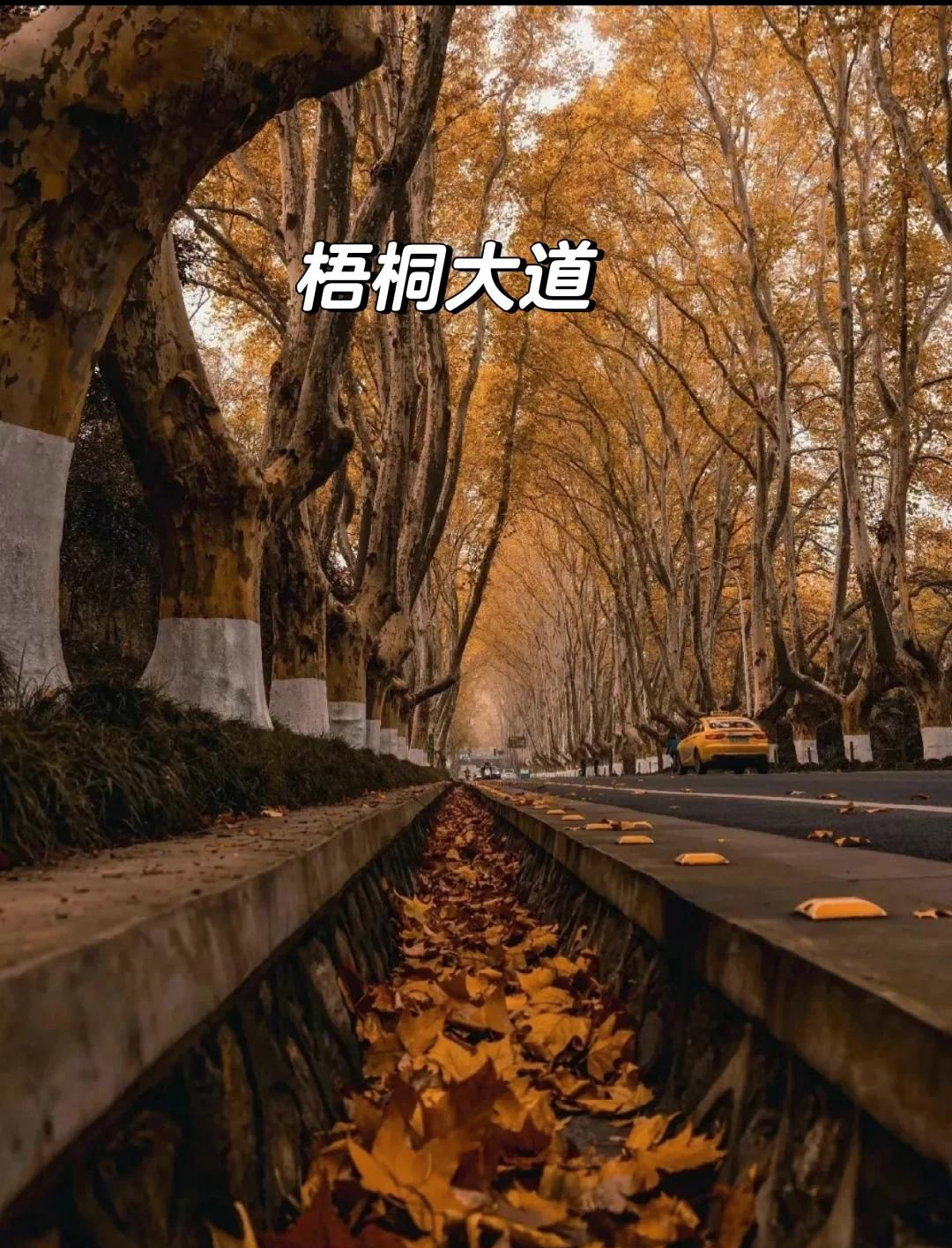 南京景点预约公众号.南京景点预约公众号微信?-第2张图片