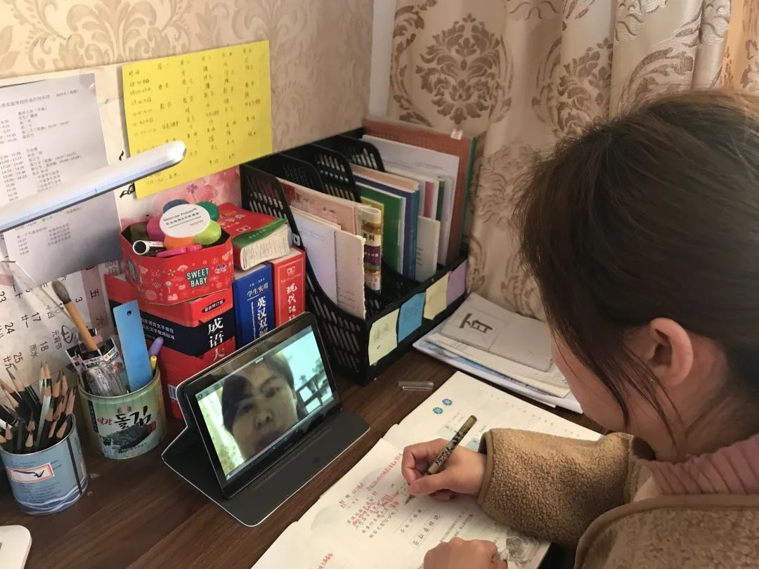 教育咨询免费24小时在线/教育咨询免费24小时在线解答-第1张图片