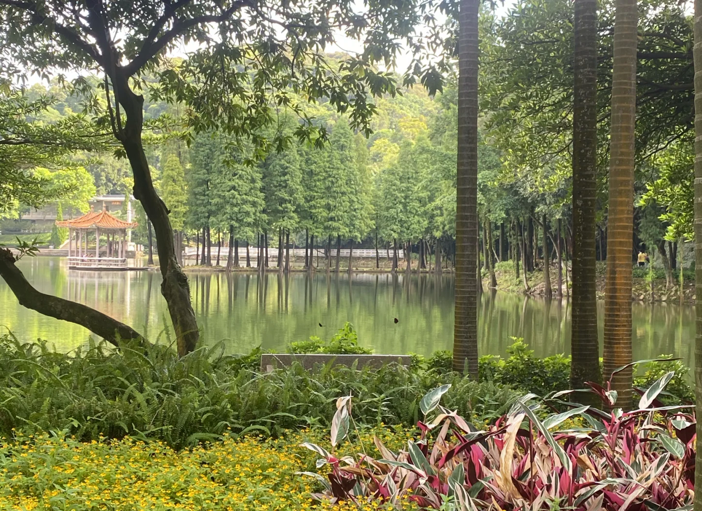 佛山自驾游去哪里好玩.佛山自驾游去哪里好玩一天？-第2张图片