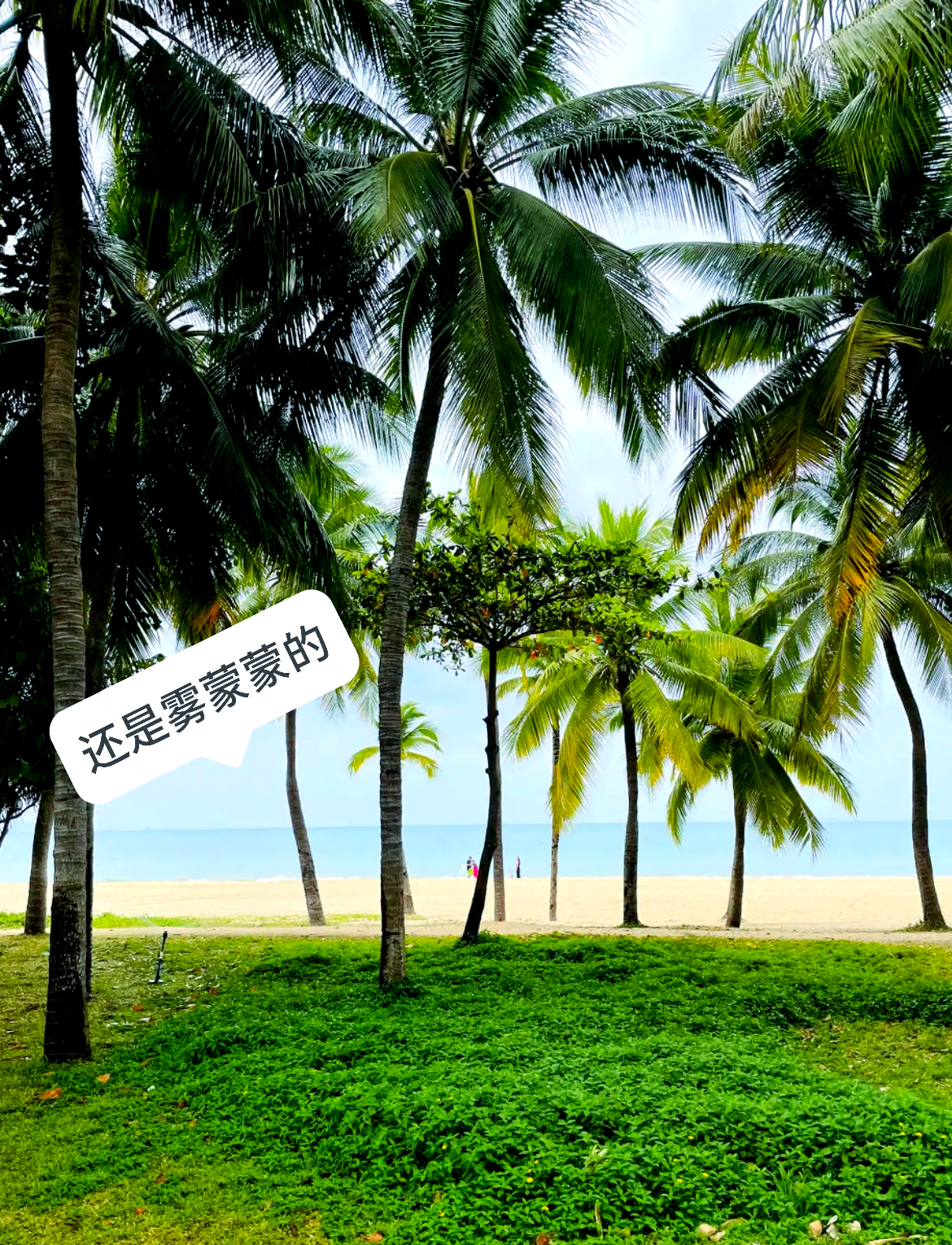 3月份适合旅游的地方.三月份适合旅游?-第3张图片