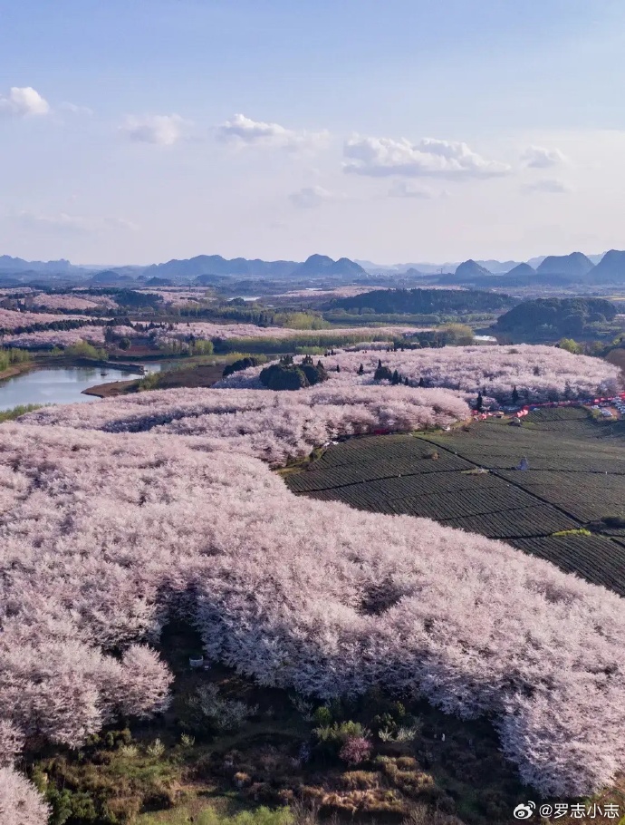 3月份适合旅游的地方.三月份适合旅游?-第2张图片