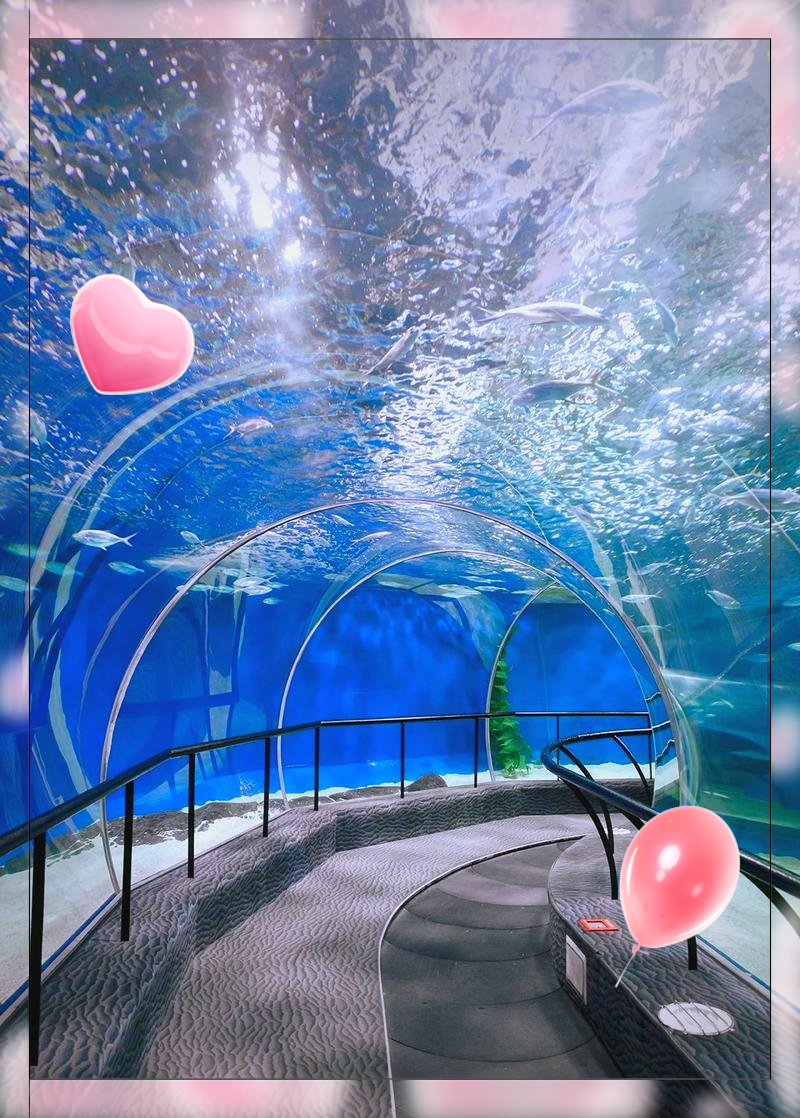 上海海洋水族馆.上海海洋水族馆游玩攻略？-第2张图片